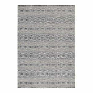 Szürke kültéri szőnyeg 80x150 cm Aruba – Ayyildiz Carpets kép