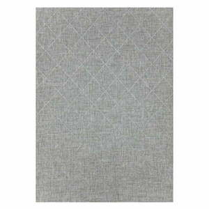 Szürke kültéri szőnyeg 80x150 cm Zagora – Ayyildiz Carpets kép