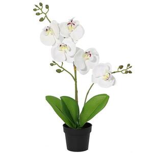 Művirág fehér orchidea cserépben 40 cm kép