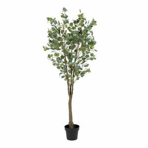 Eukaliptusz műnövény (magasság 173 cm) Eucalyptus – Ixia kép