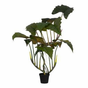 Műnövény (magasság 185 cm) Alocasia – Ixia kép