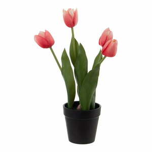 Művirág (magasság 31 cm) Tulips – Ixia kép