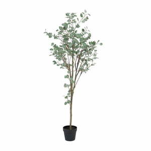 Eukaliptusz műnövény (magasság 180 cm) Eucalyptus – Ixia kép