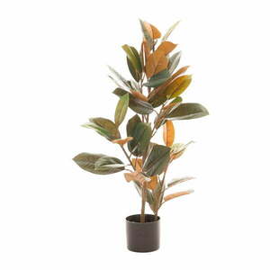 Fikusz műnövény (magasság 90 cm) Ficus – Ixia kép