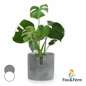 Fox & Fern Venlo, virágcserép, Polystone, beltér és kültér, 3 méret kép