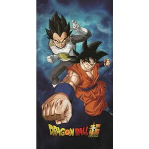 Dragon Ball (AYM074888) kép