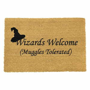 Wizards Welcome természetes kókuszrost lábtörlő, 40 x 60 cm - Artsy Doormats kép