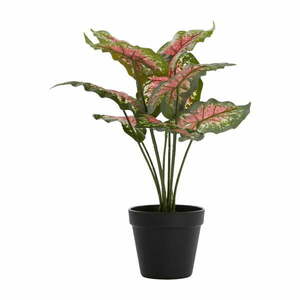 Műnövény (magasság 40 cm) Caladium – Light & Living kép