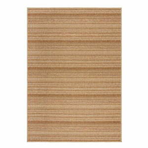 Natúr színű kültéri-beltéri szőnyeg 160x230 cm Farah Stripe – Flair Rugs kép