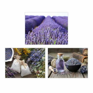 Lavender Falióra kép