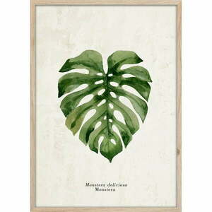 Kép 50x70 cm Monstera – Styler kép