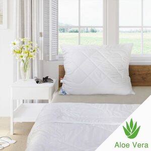 Kvalitex Aloe Vera paplan nyári, 140 x 200 cm kép