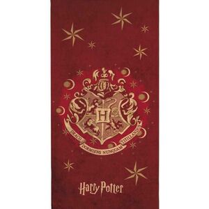 Harry Potter (AYM187143) kép