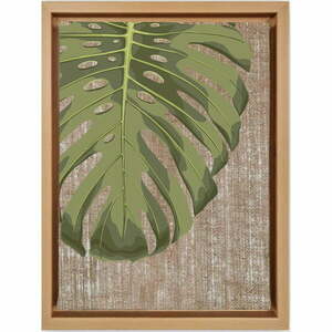 Kép 36x46 cm Monstera – Wallity kép