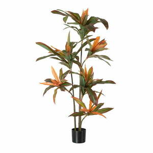 Műnövény (magasság 140 cm) Dracena – Ixia kép