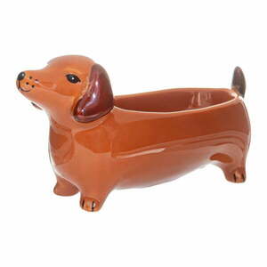 Porcelán dekoratív tál 5x14 cm Sausage Dog – Sass & Belle kép