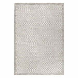 Szürkésbézs szőnyeg 160x240 cm Laurent Grey Silver – Asiatic Carpets kép