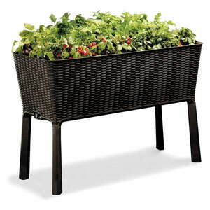 Láda Easy Grow – Keter kép