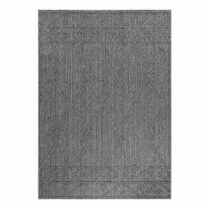 Szürke kültéri szőnyeg 120x170 cm Patara – Ayyildiz Carpets kép