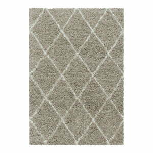 Világosbarna szőnyeg 160x230 cm Alvor – Ayyildiz Carpets kép