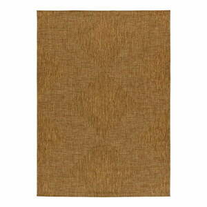 Barna kültéri szőnyeg 120x170 cm Guinea Natural – Universal kép