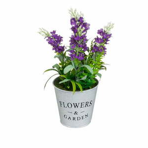 Levendula műnövény (magasság 30 cm) Lavender – Casa Selección kép