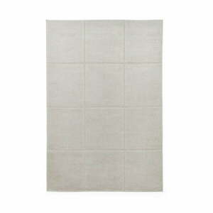 Világosszürke szőnyeg 160x230 cm Elio Silver – Think Rugs kép