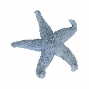 Poligyanta szobor (magasság 5 cm) Star – Ixia kép