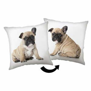Gyerek párna 40x40 cm Bulldog – Jerry Fabrics kép