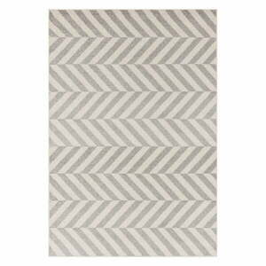 Világosszürke szőnyeg 80x150 cm Muse – Asiatic Carpets kép