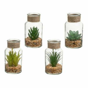 Műnövény szett 4 db-os (magasság 12 cm) Cactus – Casa Selección kép