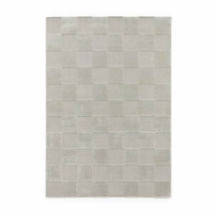 Világosszürke szőnyeg 200x290 cm Elio Silver – Think Rugs kép