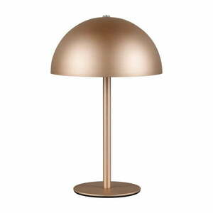 Bronzszínű LED asztali lámpa fém búrával (magasság 21 cm) Munoz – Trio kép