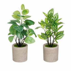 Műnövény szett 2 db-os (magasság 28 cm) – Casa Selección kép