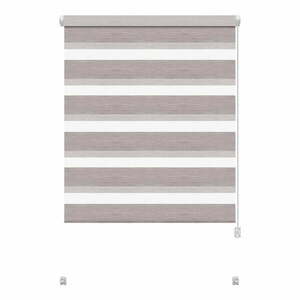 Szürkésbarna nappali-éjszakai roló 80x150 cm Zebra Silvalin – Gardinia kép
