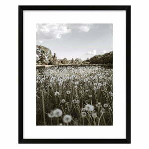 Kép 40x50 cm Meadow – knor kép