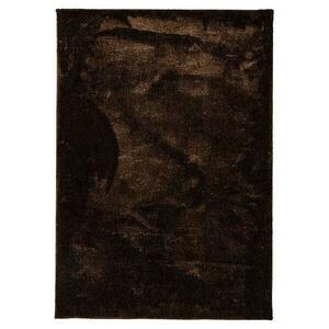 Szőnyeg Shaggy Microfiber RS-BSR 0, 6/1, 0 barna kép