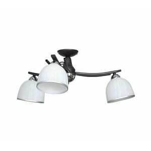 Mennyezeti lámpa AVIA 3xE27/60W/230V kép
