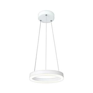 LED függeszték FOKKO 1xLED/9W/230V kép