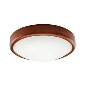 LED Mennyezeti lámpa 1xLED/12W/230V kép