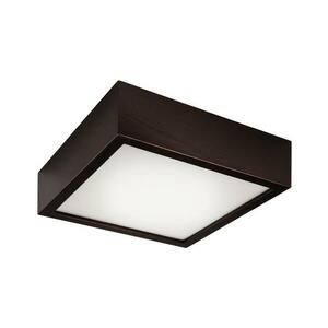 Mennyezeti lámpa 1xE27/60W/230V kép