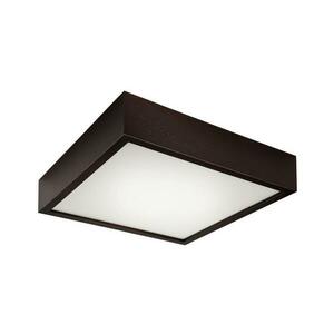 Mennyezeti lámpa 2xE27/60W/230V kép
