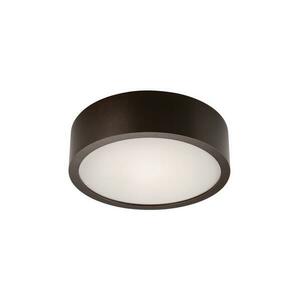 Mennyezeti lámpa 1xE27/60W/230V kép