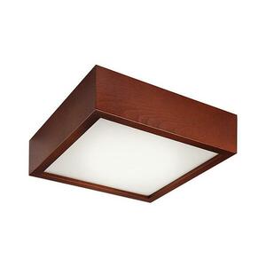 Mennyezeti lámpa 2xE27/60W/230V kép