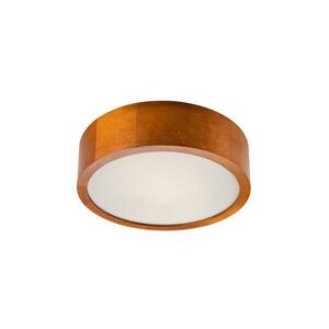 Mennyezeti lámpa 1xE27/60W/230V kép