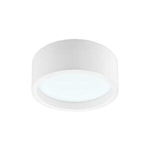 LED Mennyezeti lámpa LED/21W/230V kép