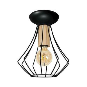 Mennyezeti lámpa WILL 1xE27/60W/230V kép