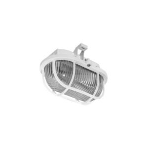Kültéri mennyezeti lámpa OVAL 1xE27/60W/230V IP44 kép