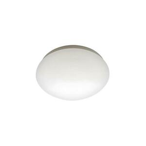 LED mennyezeti lámpa LED/18W/230V kép