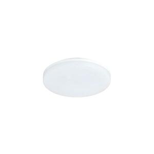 LED Kültéri mennyezeti lámpa LED/24W/230V IP54 kép